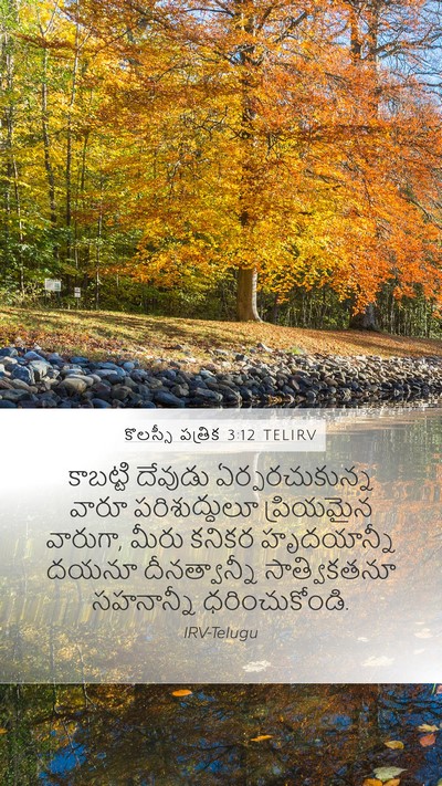 కొలస్సీ పత్రిక 3:12 TELIRV Bible Verse Image