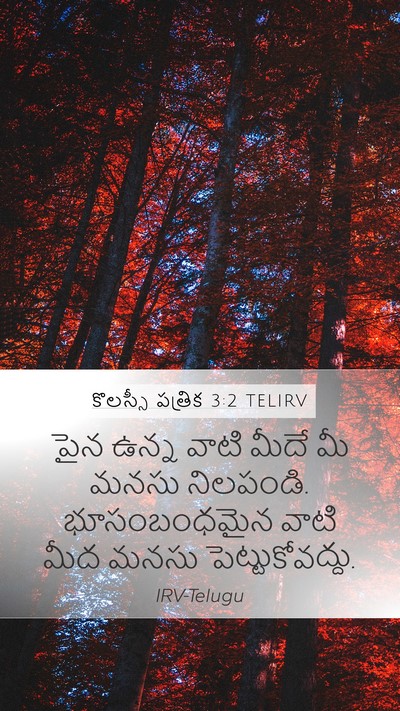 కొలస్సీ పత్రిక 3:2 TELIRV Bible Verse Image