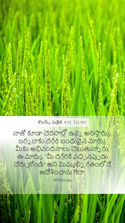 కొలస్సీ పత్రిక 4:10 TELIRV Bible Verse Image