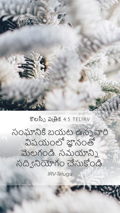 కొలస్సీ పత్రిక 4:5 TELIRV Bible Verse Image