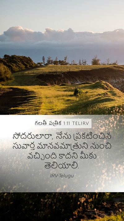 గలతీ పత్రిక 1:11 TELIRV Bible Verse Image