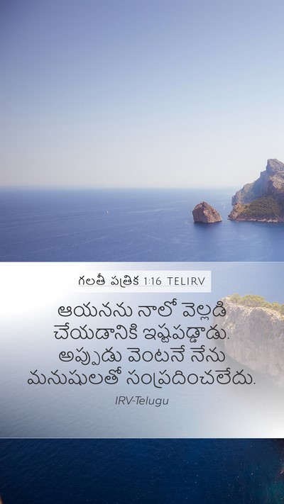 గలతీ పత్రిక 1:16 TELIRV Bible Verse Image