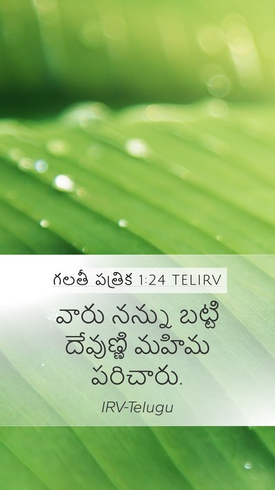 గలతీ పత్రిక 1:24 TELIRV Bible Verse Image