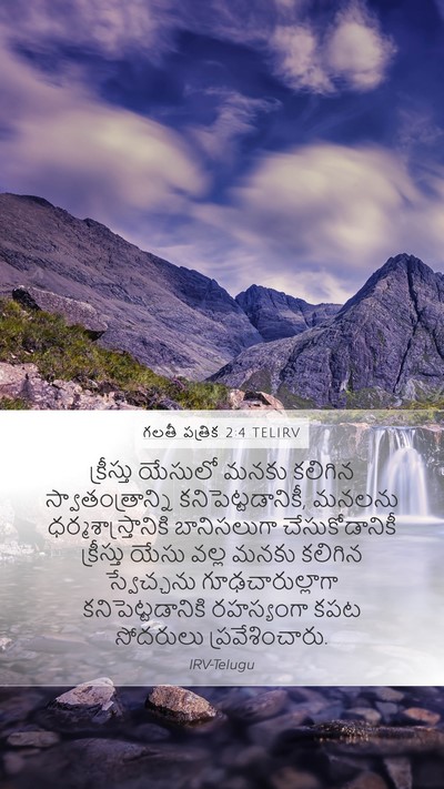 గలతీ పత్రిక 2:4 TELIRV Bible Verse Image