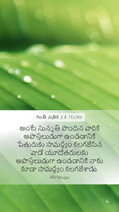 గలతీ పత్రిక 2:8 TELIRV Bible Verse Image