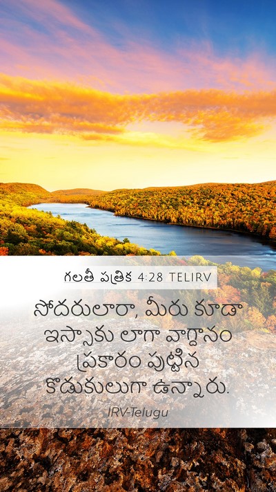 గలతీ పత్రిక 4:28 TELIRV Bible Verse Image