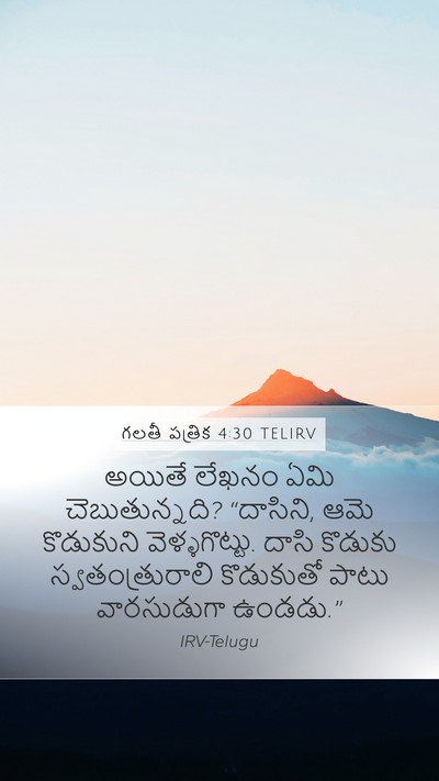 గలతీ పత్రిక 4:30 TELIRV Bible Verse Image