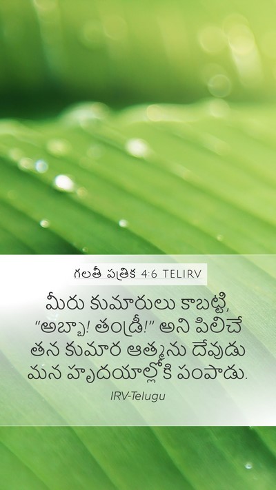 గలతీ పత్రిక 4:6 TELIRV Bible Verse Image
