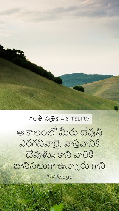 గలతీ పత్రిక 4:8 TELIRV Bible Verse Image