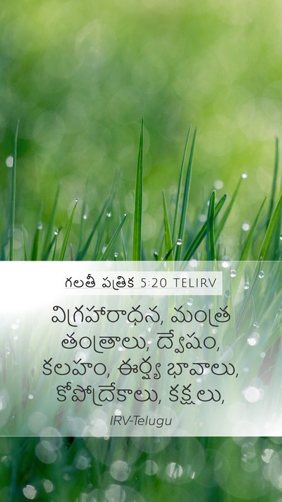 గలతీ పత్రిక 5:20 TELIRV Bible Verse Image