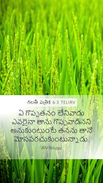 గలతీ పత్రిక 6:3 TELIRV Bible Verse Image