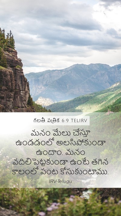 గలతీ పత్రిక 6:9 TELIRV Bible Verse Image