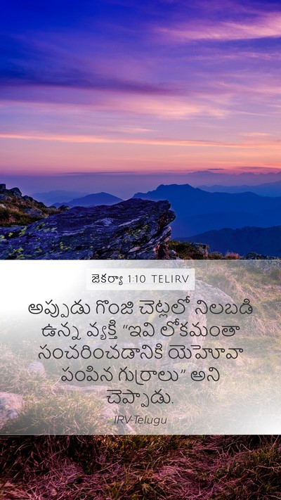 జెకర్యా 1:10 TELIRV Bible Verse Image