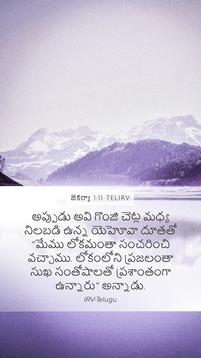 జెకర్యా 1:11 TELIRV Bible Verse Image