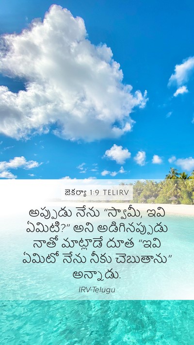 జెకర్యా 1:9 TELIRV Bible Verse Image