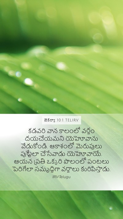 జెకర్యా 10:1 TELIRV Bible Verse Image