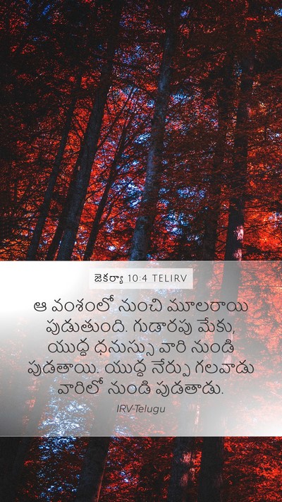 జెకర్యా 10:4 TELIRV Bible Verse Image