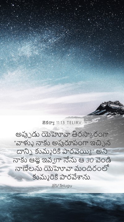 జెకర్యా 11:13 TELIRV Bible Verse Image