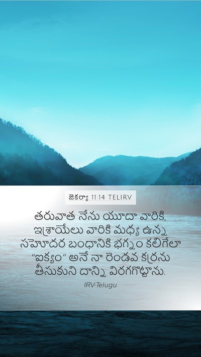 జెకర్యా 11:14 TELIRV Bible Verse Image