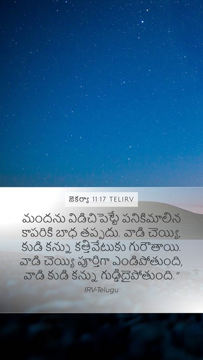 జెకర్యా 11:17 TELIRV Bible Verse Image