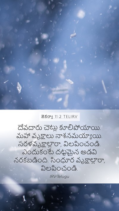జెకర్యా 11:2 TELIRV Bible Verse Image