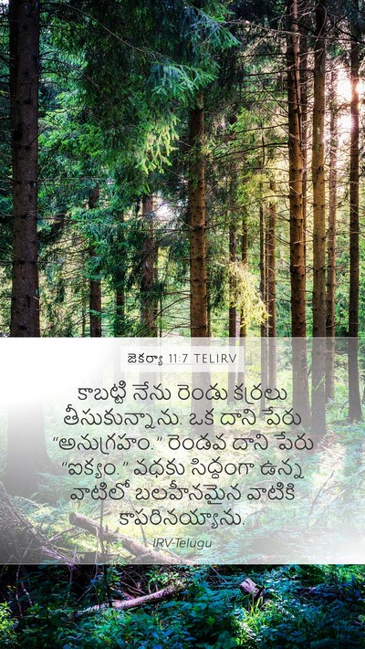 జెకర్యా 11:7 TELIRV Bible Verse Image
