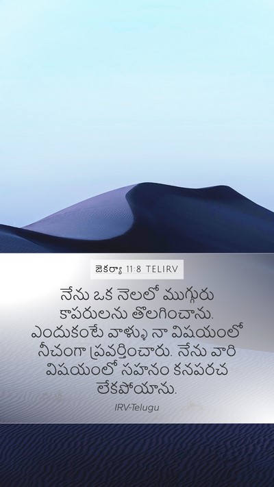 జెకర్యా 11:8 TELIRV Bible Verse Image