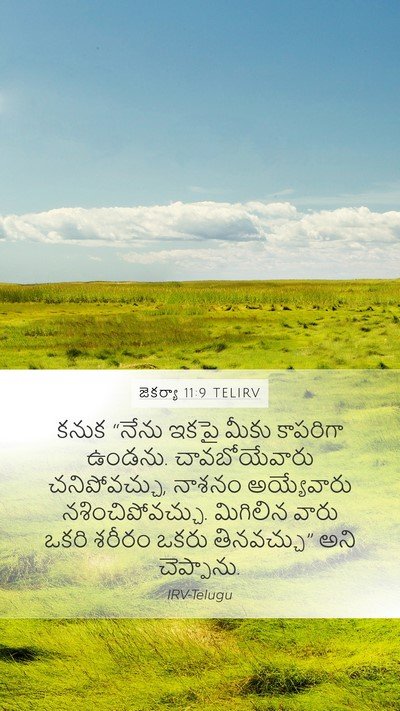 జెకర్యా 11:9 TELIRV Bible Verse Image