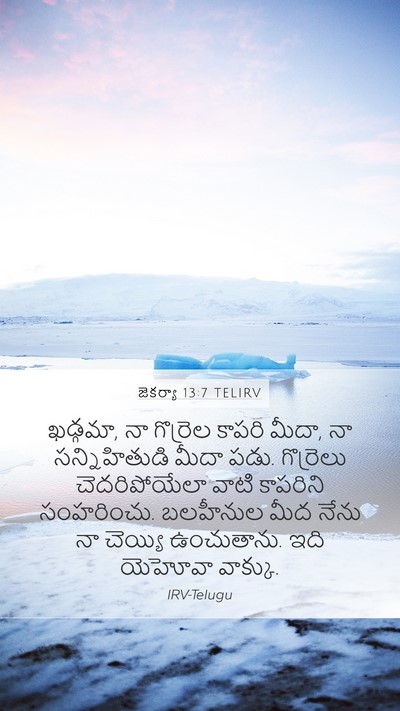 జెకర్యా 13:7 TELIRV Bible Verse Image