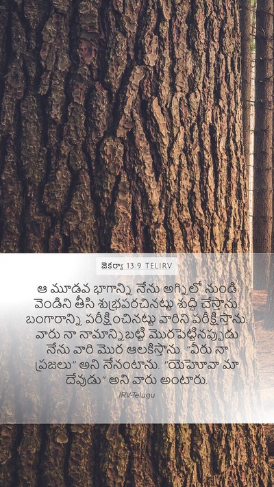 జెకర్యా 13:9 TELIRV Bible Verse Image