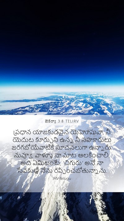 జెకర్యా 3:8 TELIRV Bible Verse Image