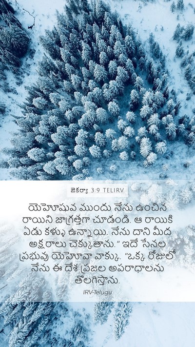 జెకర్యా 3:9 TELIRV Bible Verse Image