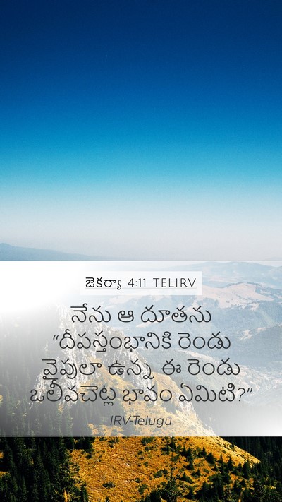 జెకర్యా 4:11 TELIRV Bible Verse Image