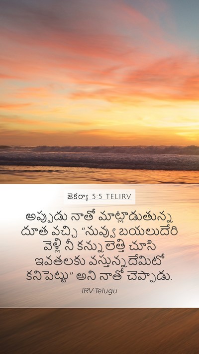 జెకర్యా 5:5 TELIRV Bible Verse Image