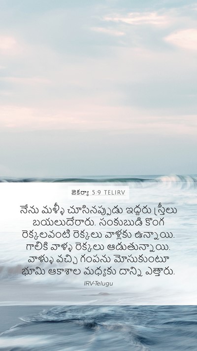 జెకర్యా 5:9 TELIRV Bible Verse Image