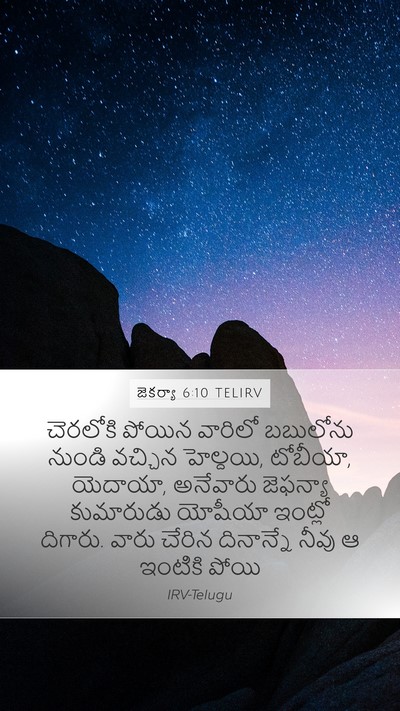 జెకర్యా 6:10 TELIRV Bible Verse Image
