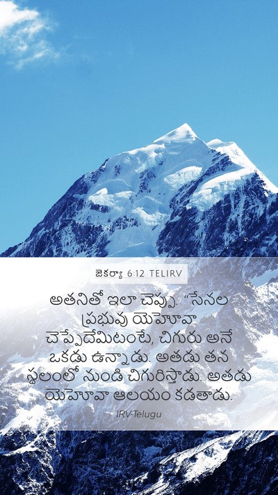 జెకర్యా 6:12 TELIRV Bible Verse Image