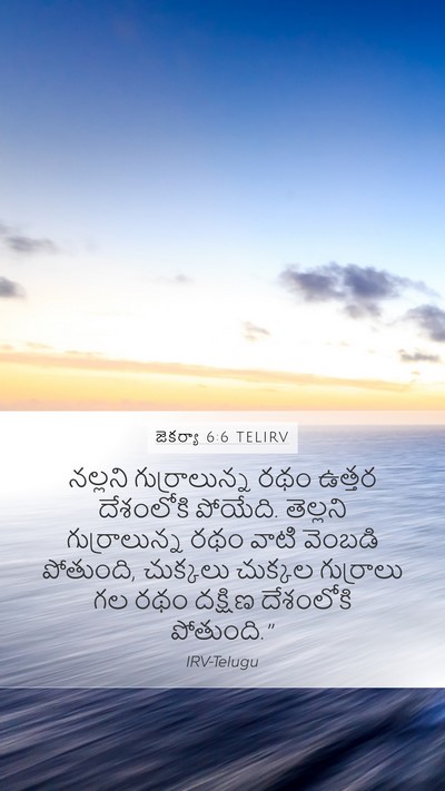 జెకర్యా 6:6 TELIRV Bible Verse Image