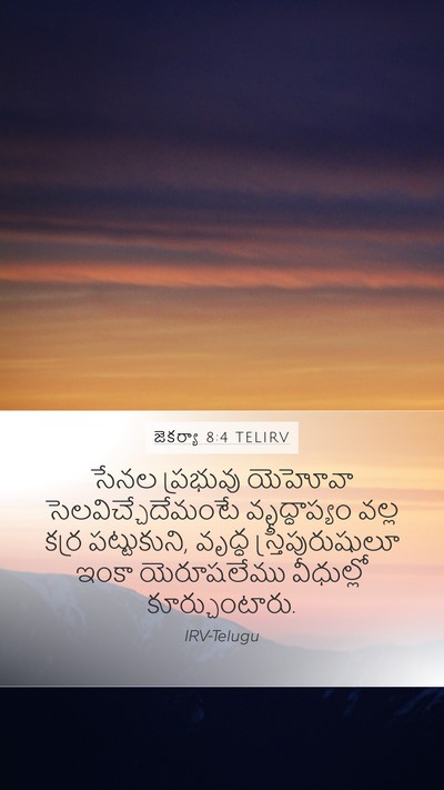 జెకర్యా 8:4 TELIRV Bible Verse Image