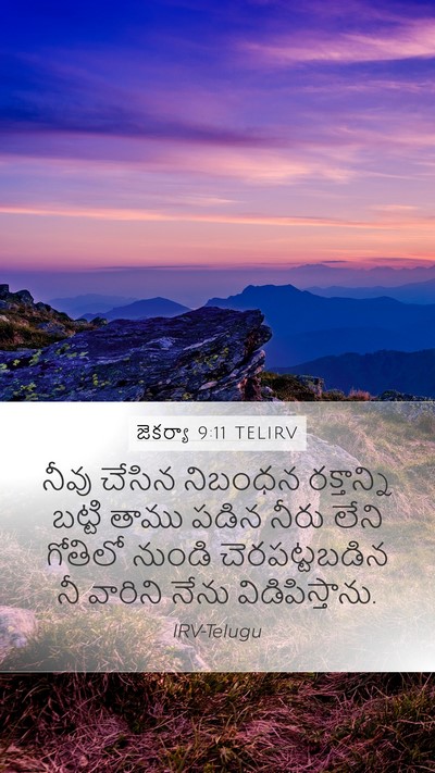 జెకర్యా 9:11 TELIRV Bible Verse Image