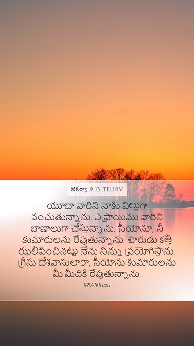 జెకర్యా 9:13 TELIRV Bible Verse Image