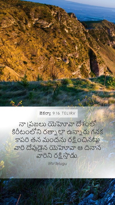 జెకర్యా 9:16 TELIRV Bible Verse Image
