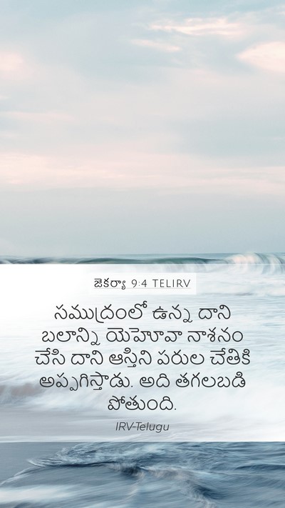జెకర్యా 9:4 TELIRV Bible Verse Image