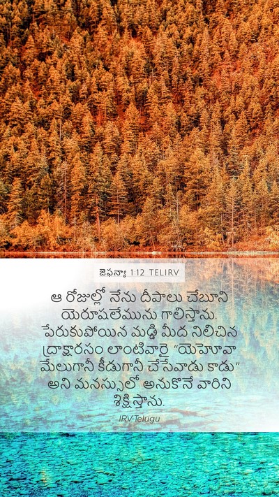 జెఫన్యా 1:12 TELIRV Bible Verse Image