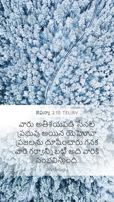 జెఫన్యా 2:10 TELIRV Mobile Phone Wallpaper - వారు అతిశయపడి - Mobile Bible Verse Wallpaper
