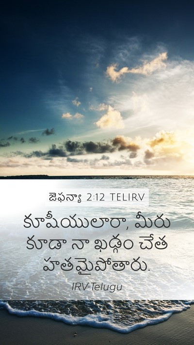 జెఫన్యా 2:12 TELIRV Bible Verse Image