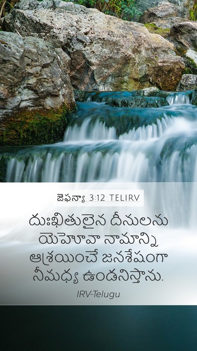 జెఫన్యా 3:12 TELIRV Bible Verse Image