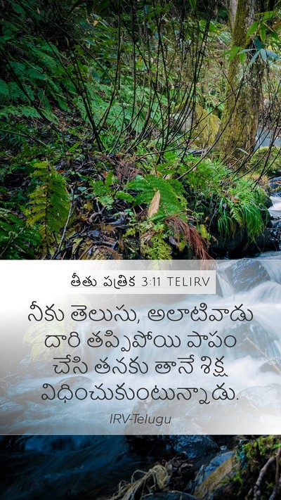 తీతు పత్రిక 3:11 TELIRV Bible Verse Image