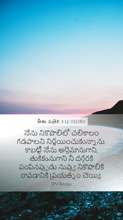 తీతు పత్రిక 3:12 TELIRV Bible Verse Image