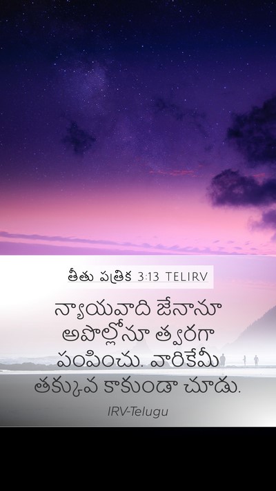 తీతు పత్రిక 3:13 TELIRV Bible Verse Image